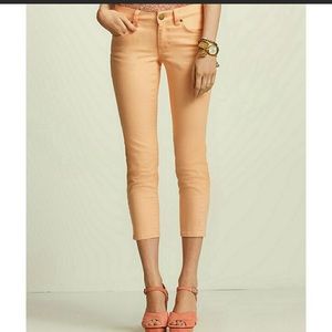 CABi skinny, cropped Bree Jean